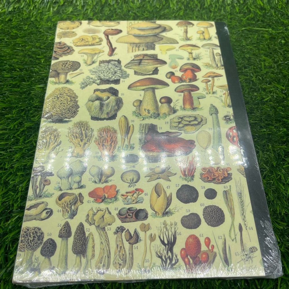 Mushroom Illustrated Ruled Paper Notebook - Picture 2 of 4